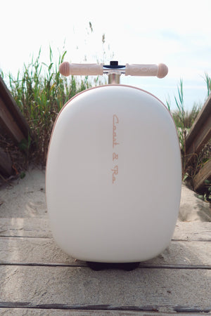 Coast Cruiser-Sand dollar