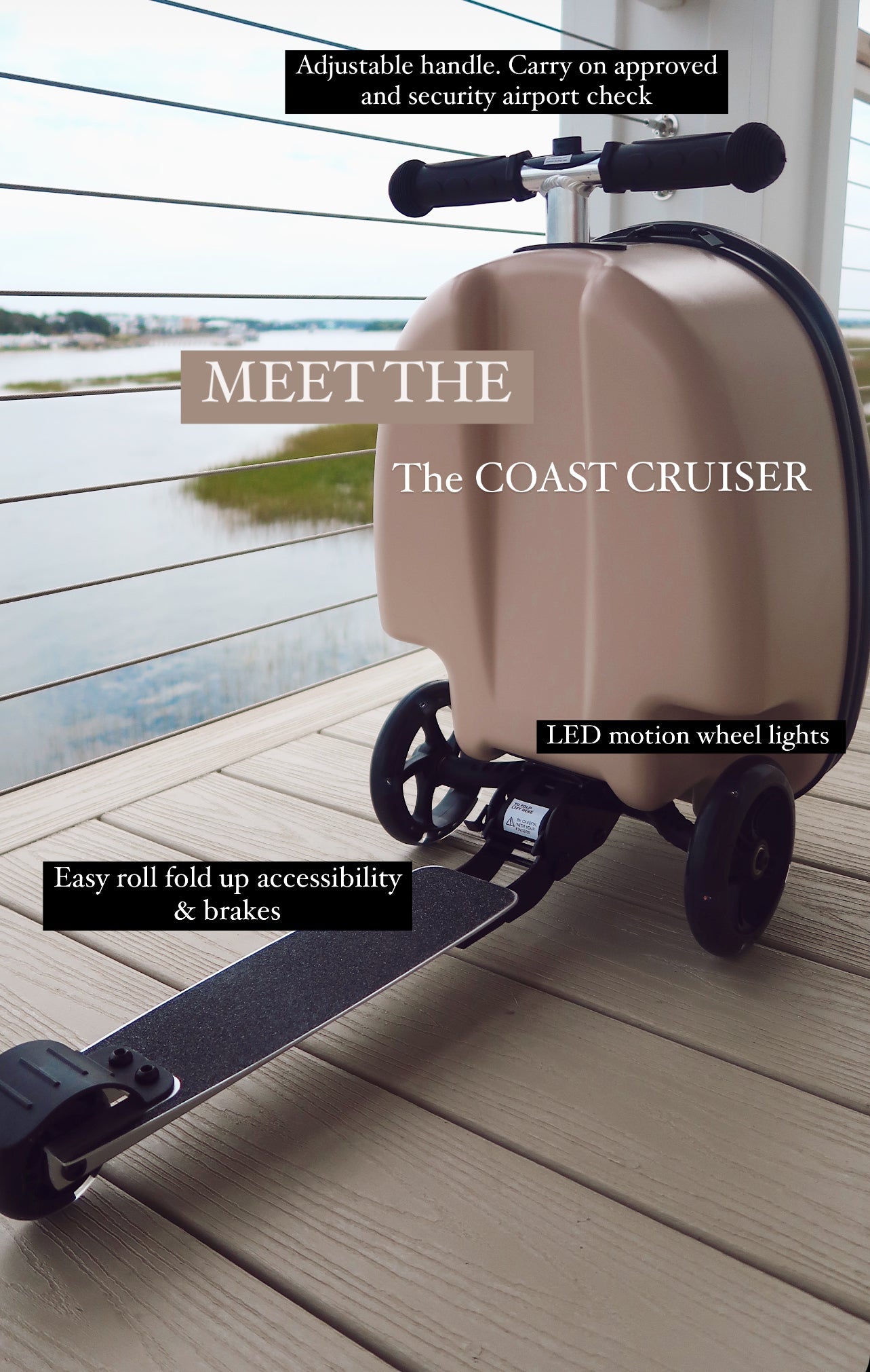 Coast Cruiser- Seashell