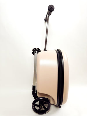 Coast Cruiser- Seashell