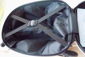 Coast Cruiser- Seashell