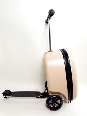 Coast Cruiser- Seashell