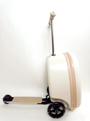 Coast Cruiser-Sand dollar