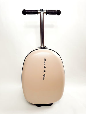 Coast Cruiser- Seashell