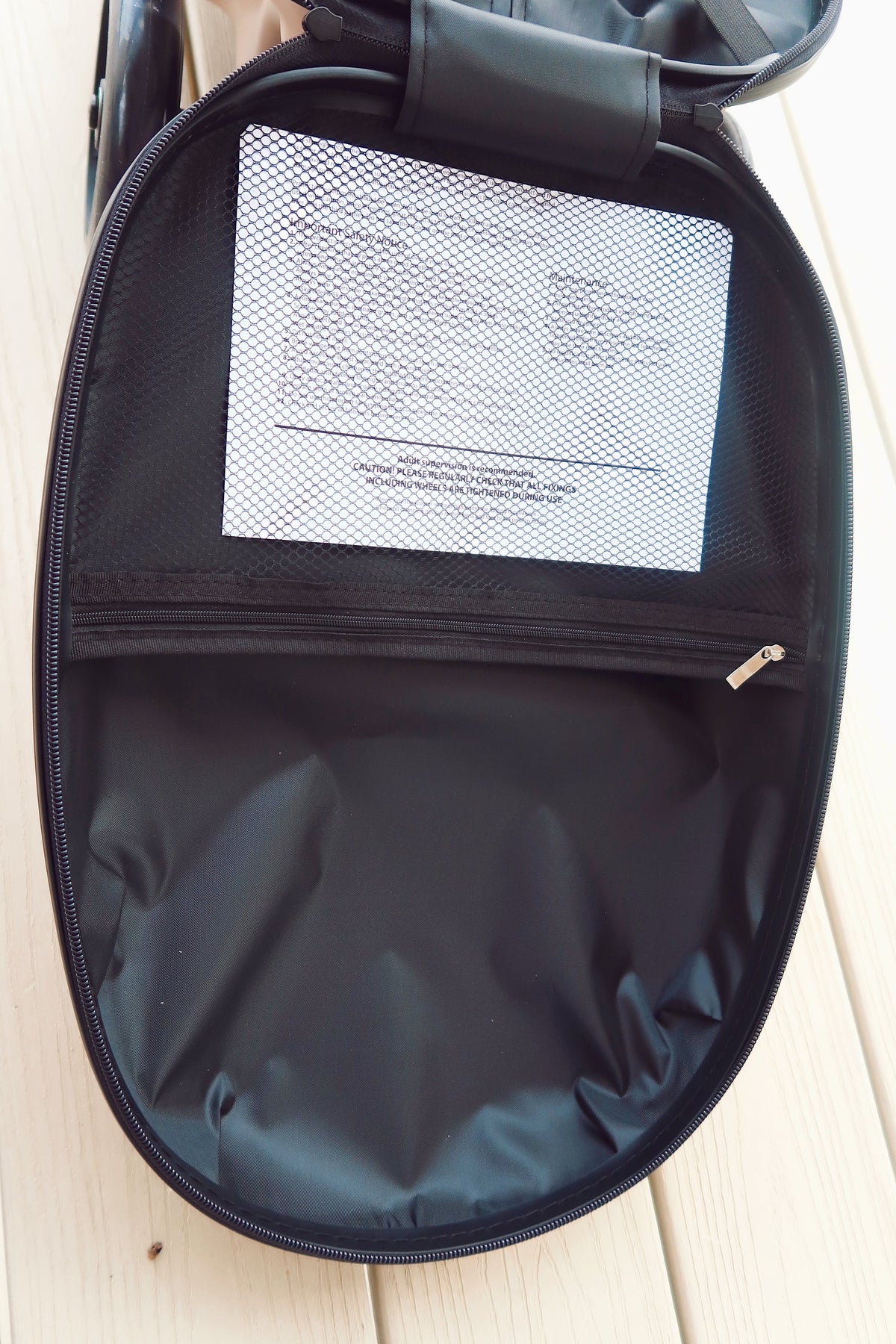 Coast Cruiser- Seashell