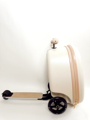 Coast Cruiser-Sand dollar