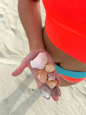 Seabrook Skinny Top- Ragin Cajun
