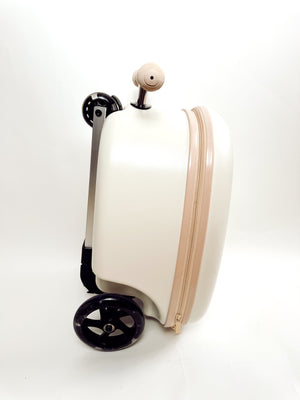 Coast Cruiser-Sand dollar