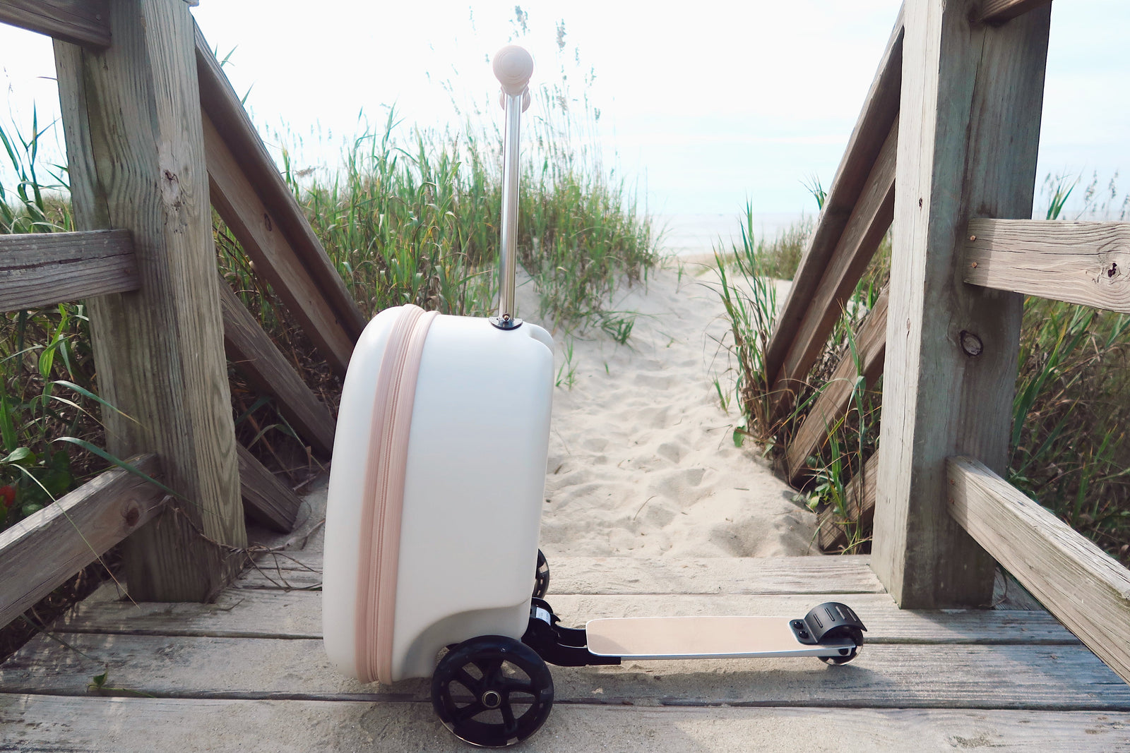 Coast Cruiser-Sand dollar