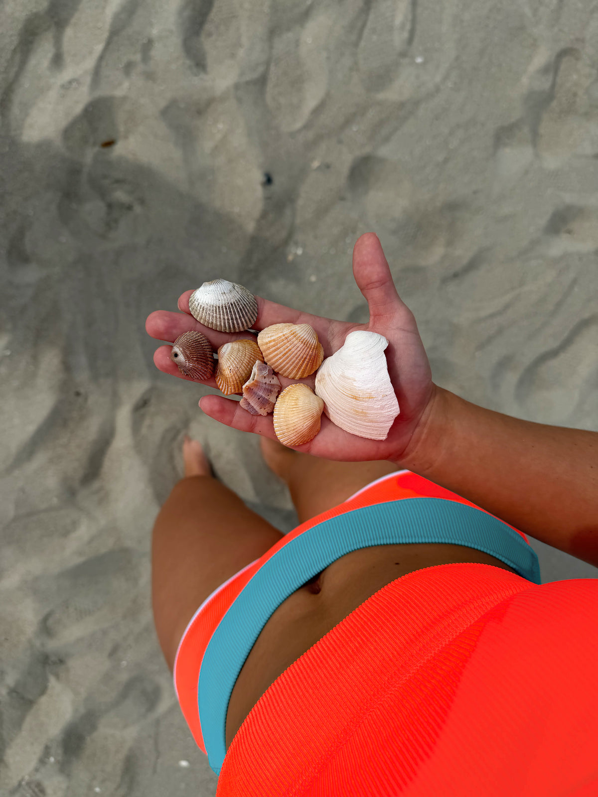 Bottom- Miami Dolphins