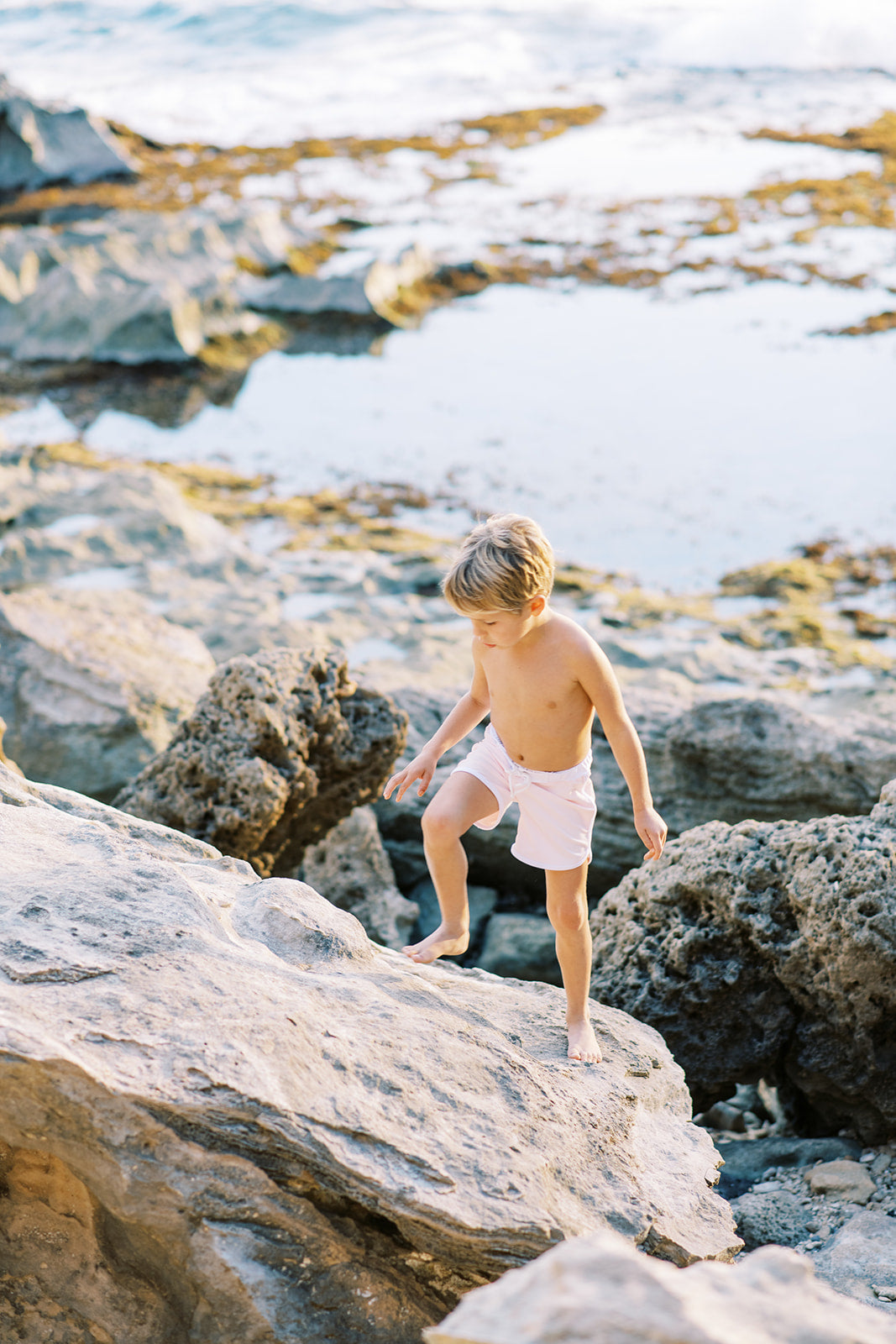 Mini Ro Trunks- Petal (7089759551671)