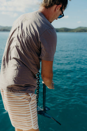 Mens Sunset Beach Boardshorts- Salty Daze Stripes